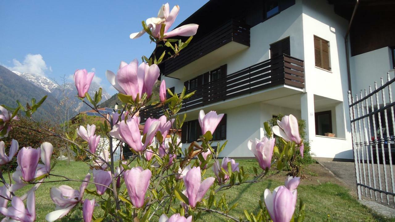 Casa Gregori Apartamento Malè Exterior foto